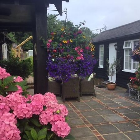 Bed and Breakfast The Coach House Rudgwick Exteriér fotografie