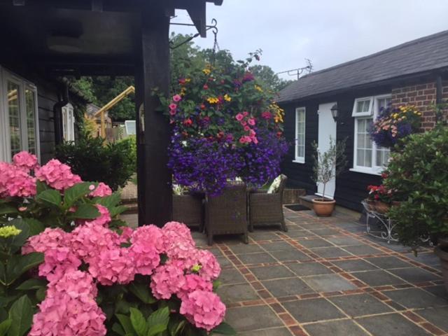 Bed and Breakfast The Coach House Rudgwick Exteriér fotografie